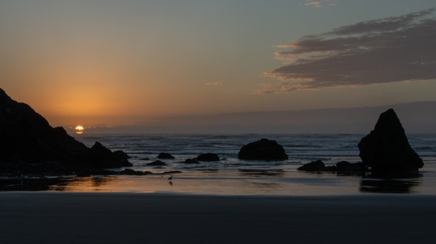 Oregon Coast Fall 2025