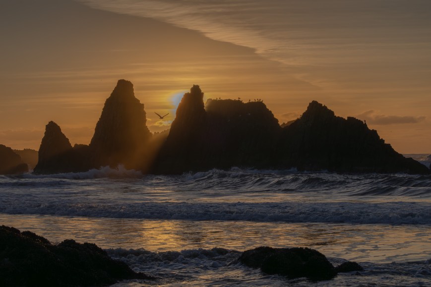 2026 Oregon Winter Waves