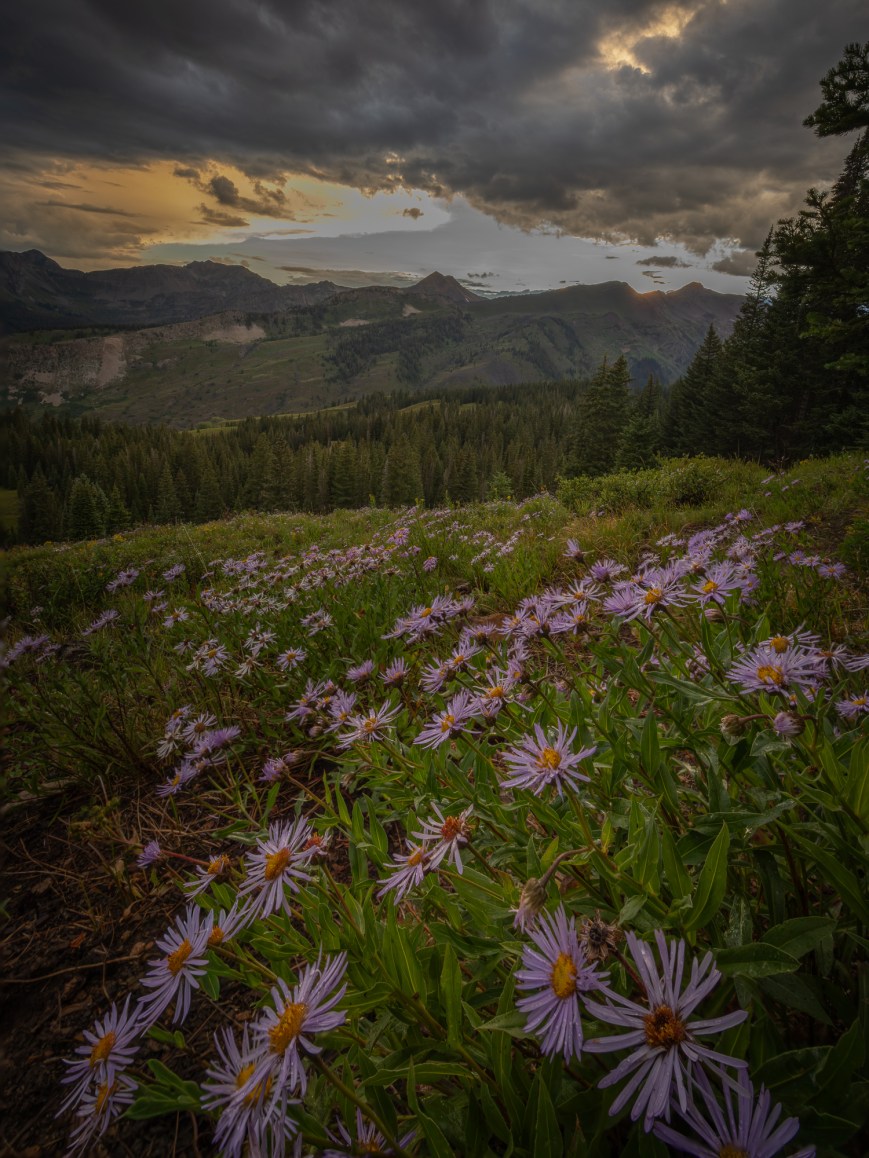 Crested Butte, CO wildflower festival July 2026